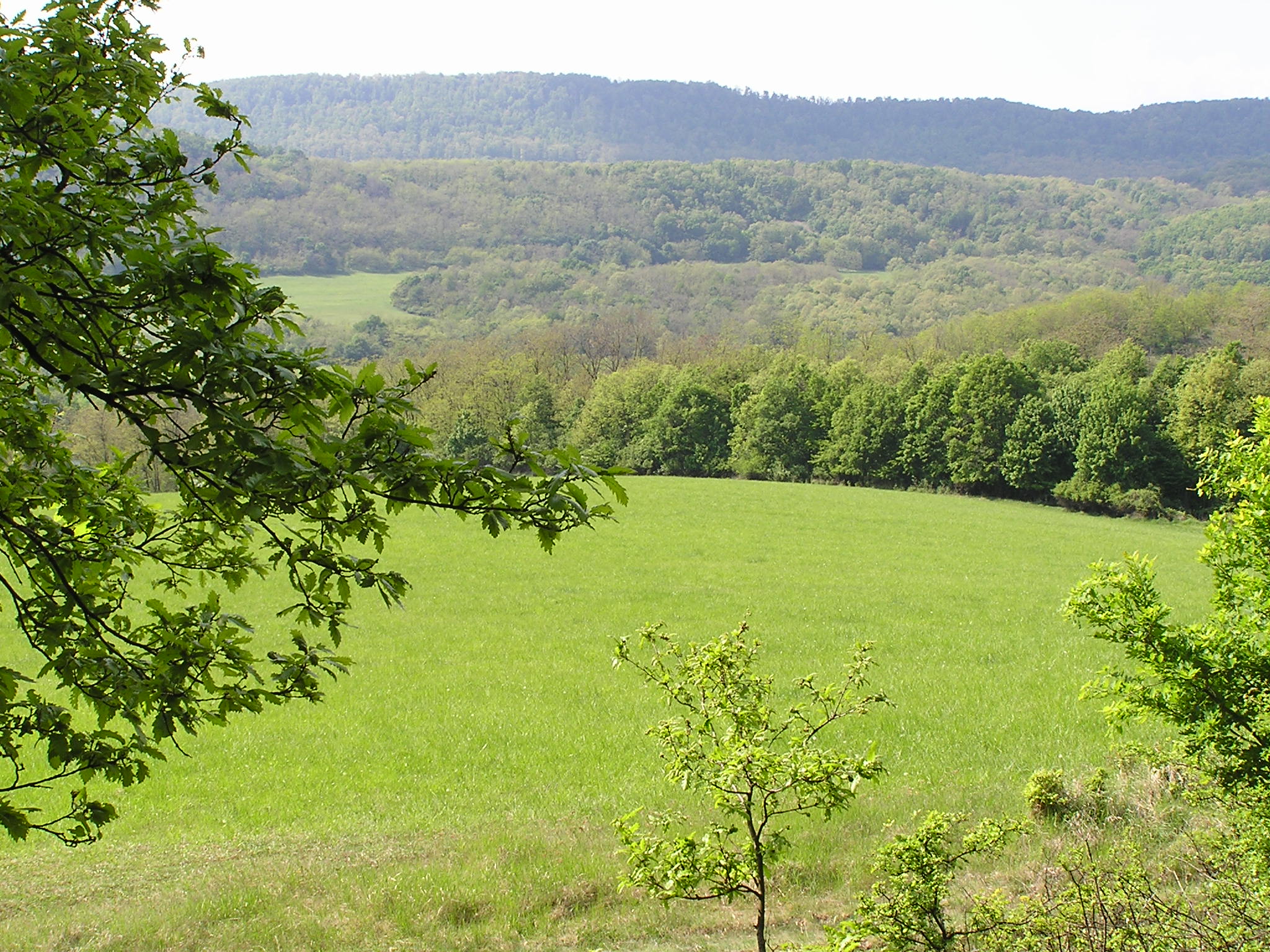 P1010012.JPG