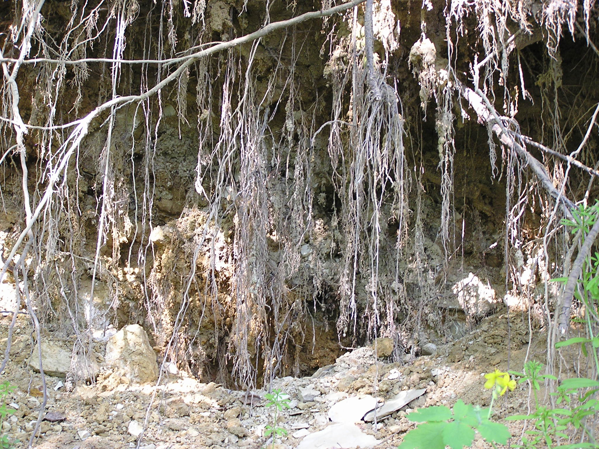 P1010031.JPG