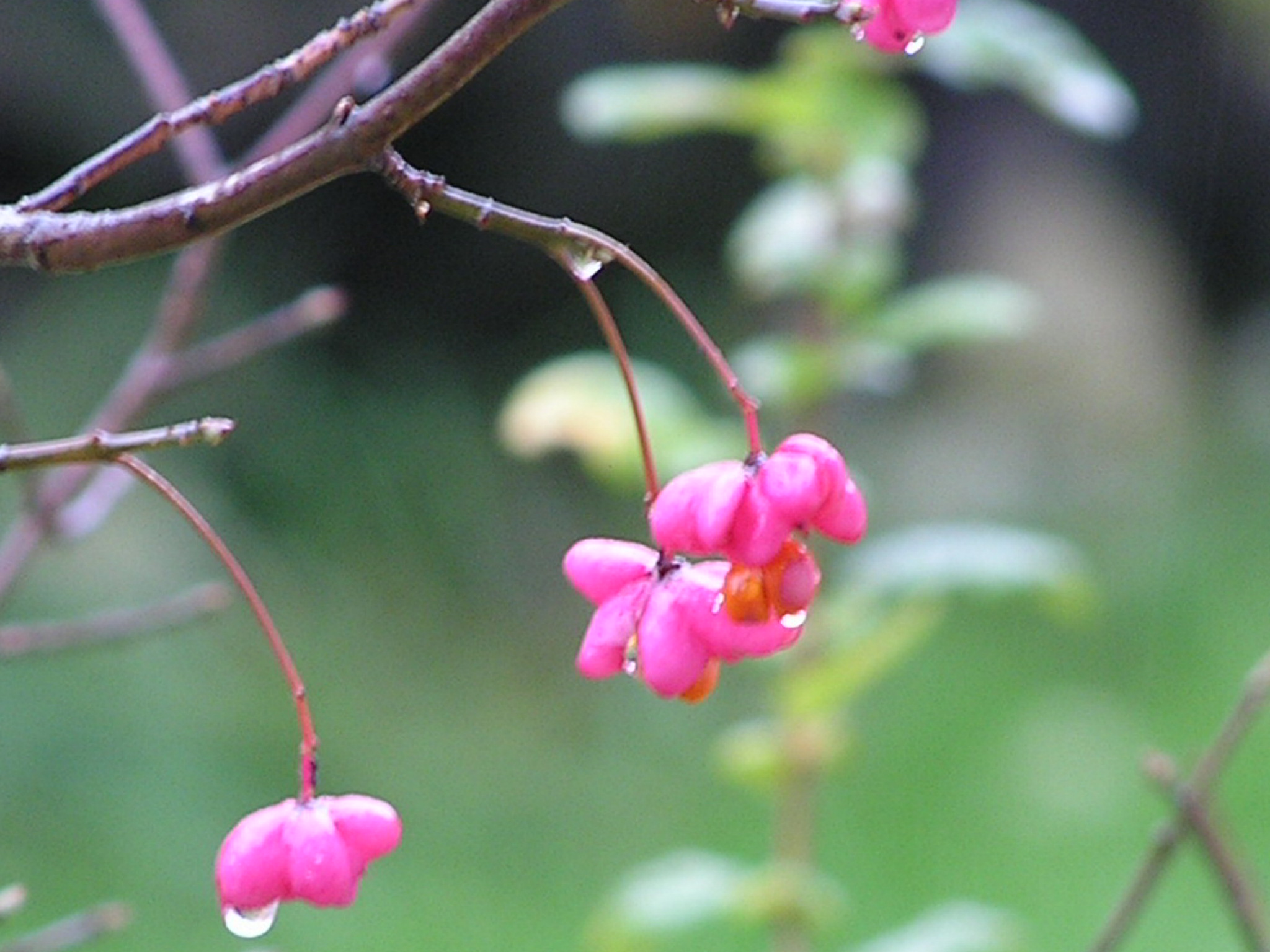 P1010026.JPG