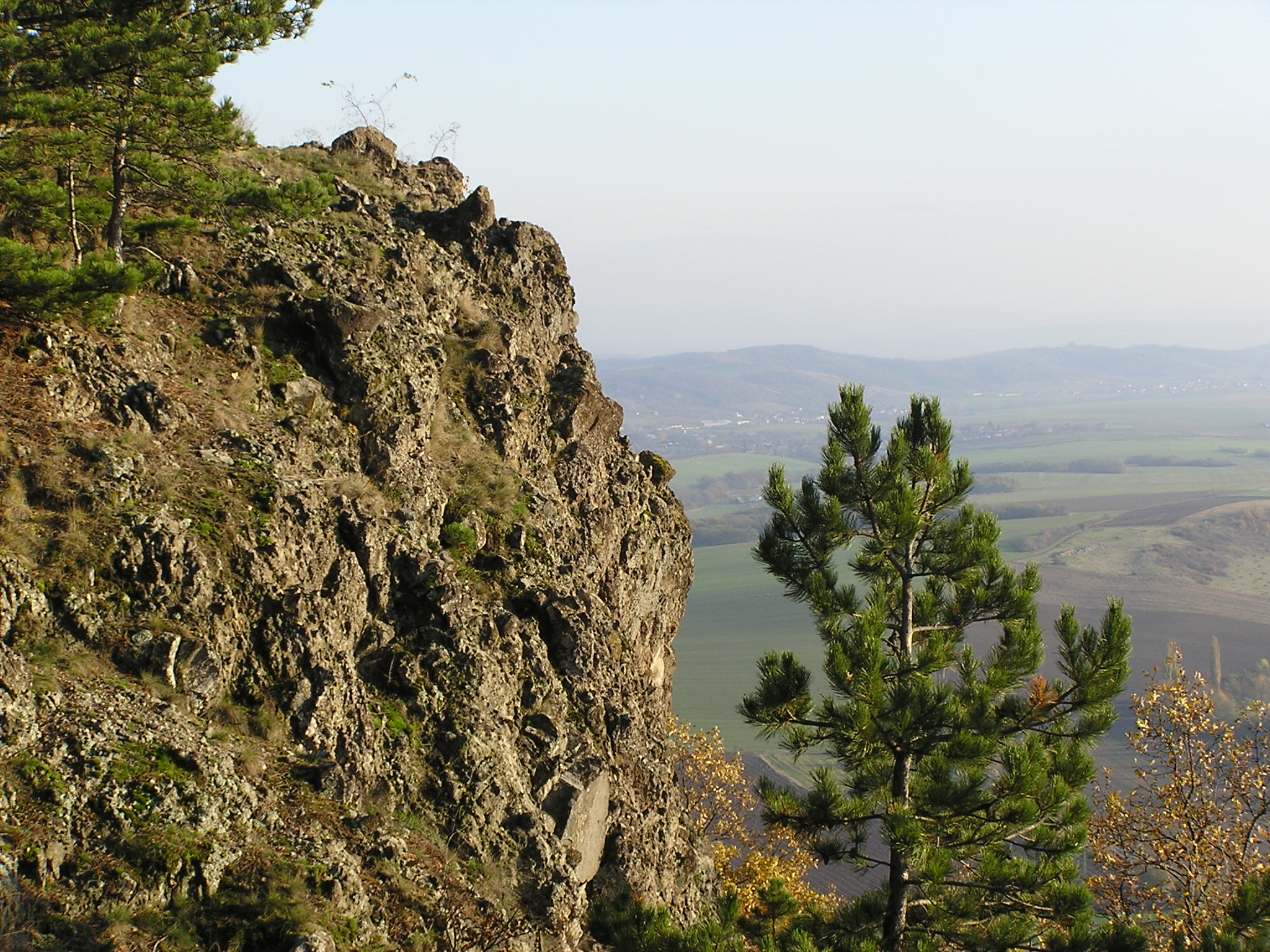 P1010051.JPG