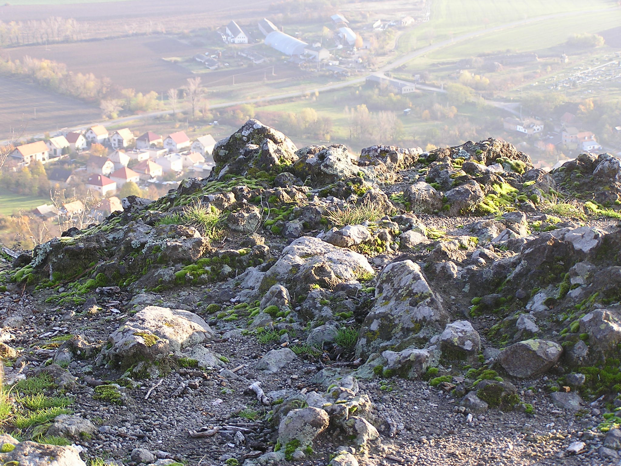 P1010058.JPG