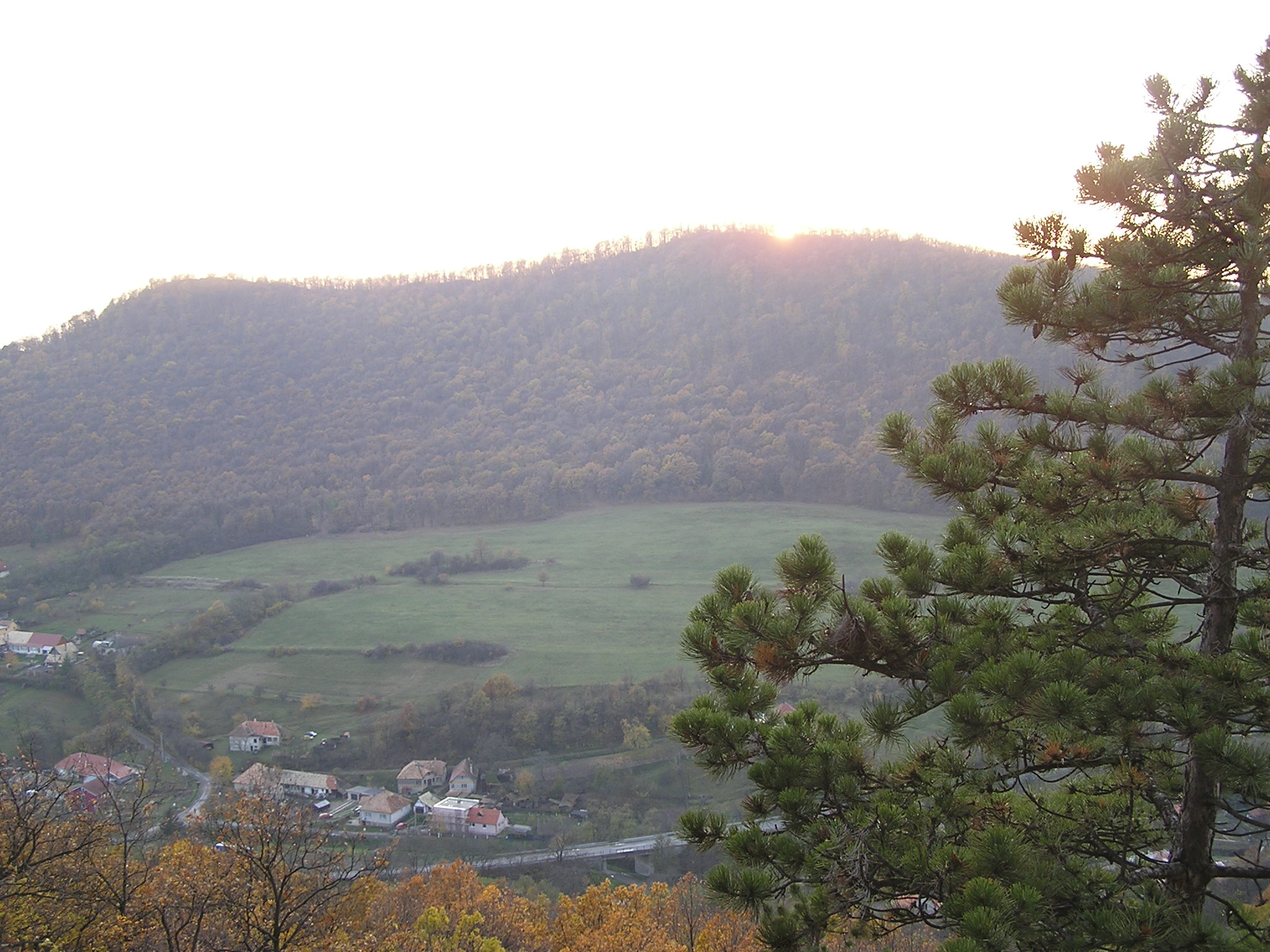 P1010116.JPG